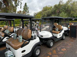Golf-Cart-4