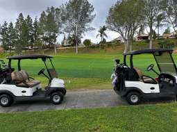 Golf-Cart-7