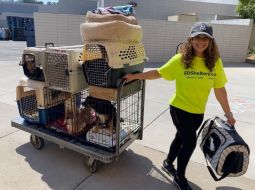 Pet-Adopt